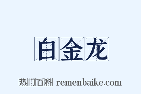 白金龙是什么意思的图片